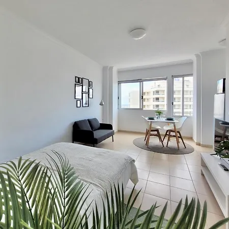 Coco Y Palma Puerto de la Cruz (Tenerife)