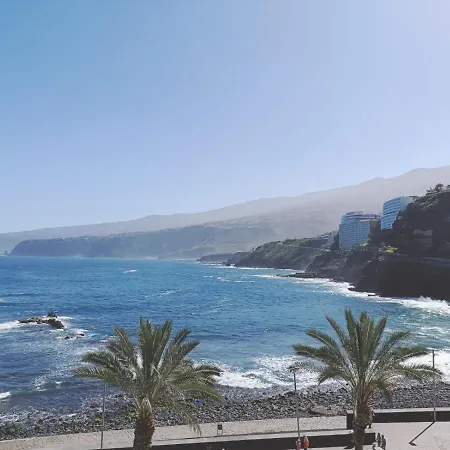 Coco Y Palma Puerto de la Cruz (Tenerife)