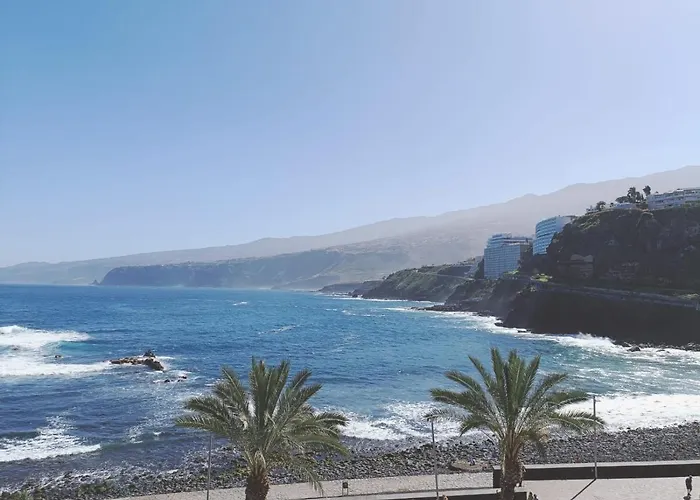 Coco Y Palma פוארטו דה לה קרוז