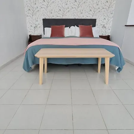 Coco Y Palma *